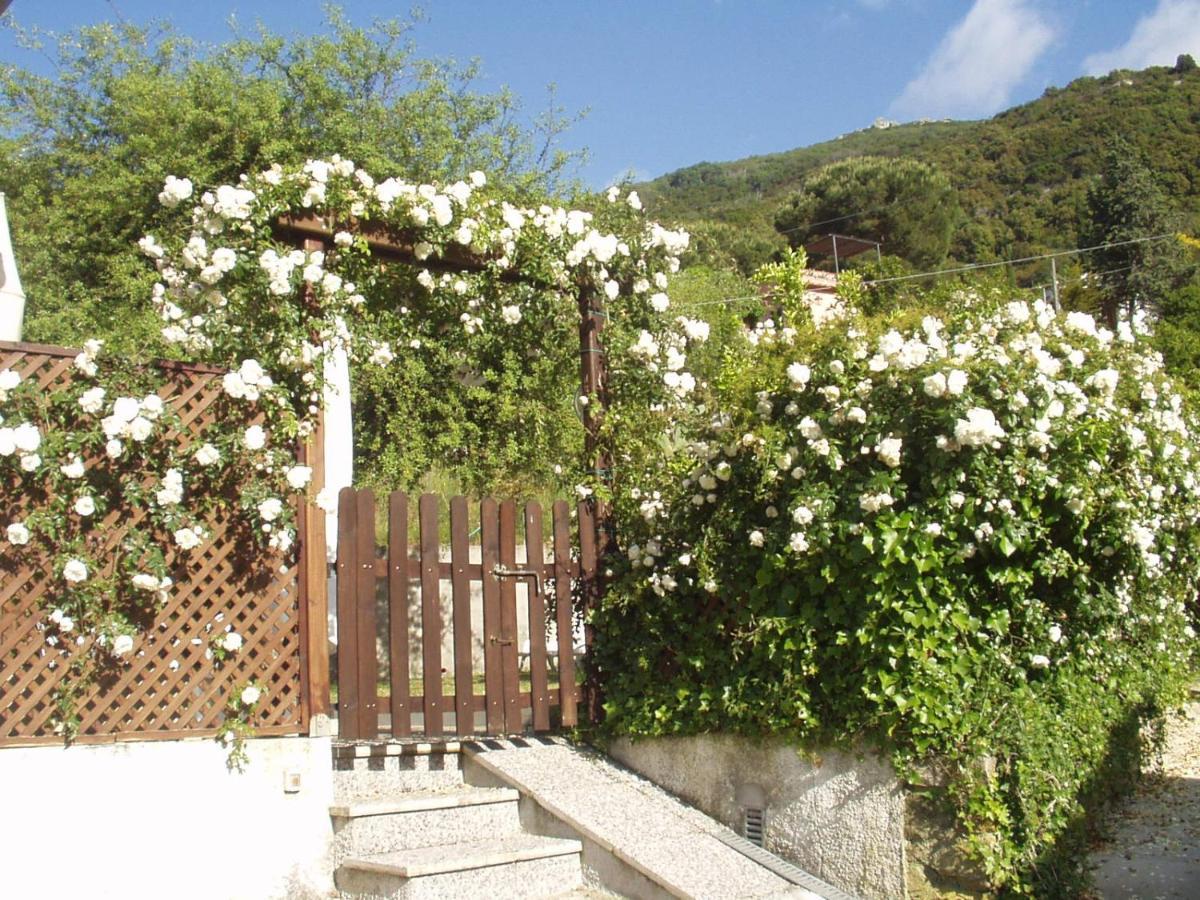 Villa Dei Limoni Sant'Andrea  Bagian luar foto